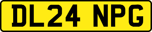 DL24NPG