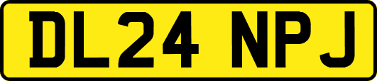 DL24NPJ