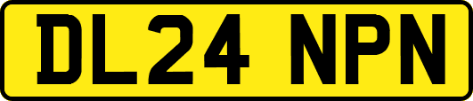 DL24NPN