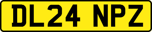 DL24NPZ