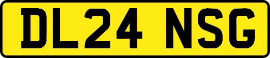 DL24NSG