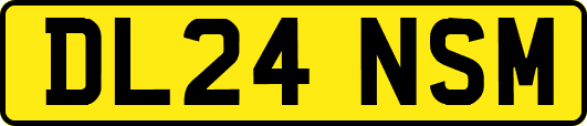 DL24NSM