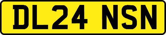DL24NSN
