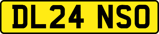 DL24NSO