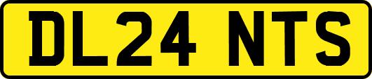 DL24NTS