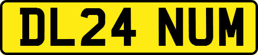 DL24NUM
