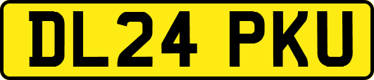 DL24PKU