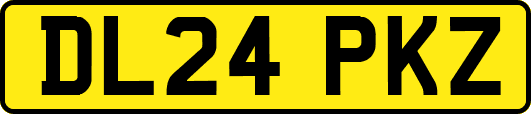 DL24PKZ