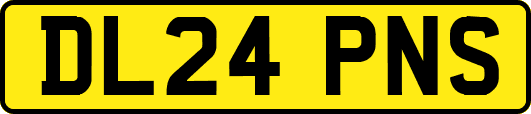 DL24PNS