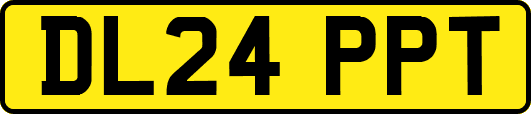 DL24PPT