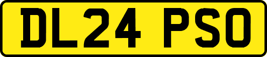 DL24PSO