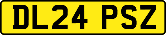 DL24PSZ