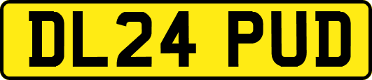 DL24PUD