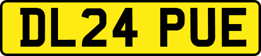 DL24PUE