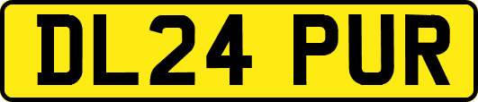 DL24PUR