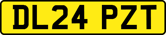 DL24PZT