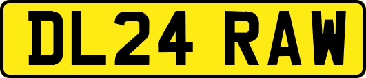 DL24RAW