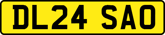 DL24SAO