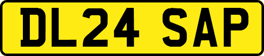 DL24SAP