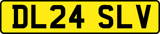 DL24SLV