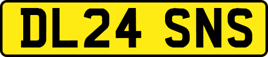 DL24SNS
