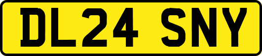 DL24SNY