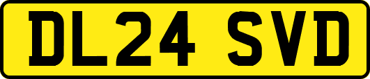 DL24SVD