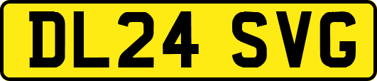 DL24SVG