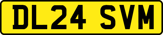 DL24SVM
