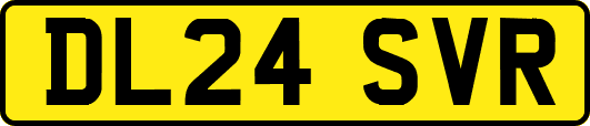 DL24SVR