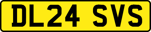 DL24SVS