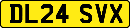 DL24SVX