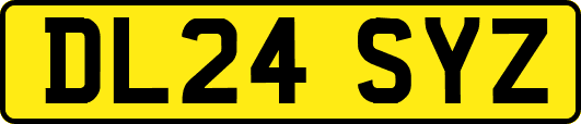 DL24SYZ