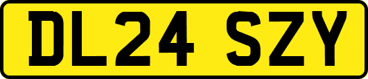 DL24SZY