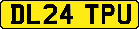 DL24TPU
