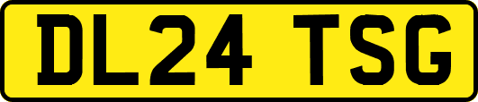 DL24TSG