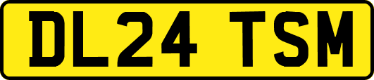 DL24TSM