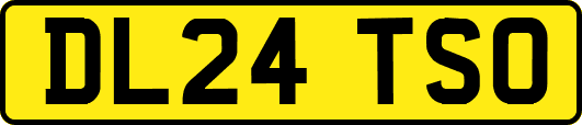DL24TSO