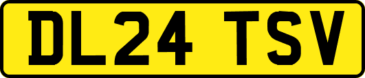 DL24TSV