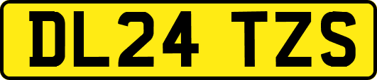 DL24TZS