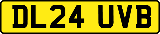 DL24UVB