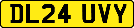 DL24UVY