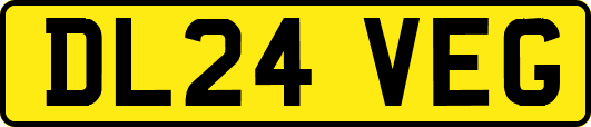 DL24VEG