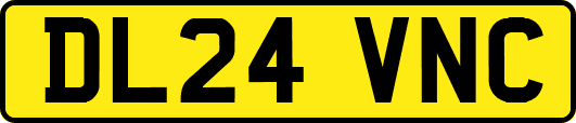 DL24VNC