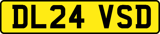 DL24VSD