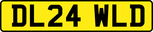 DL24WLD