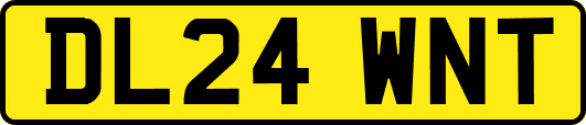 DL24WNT