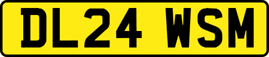 DL24WSM