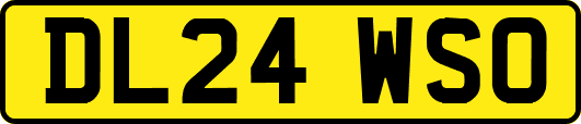 DL24WSO