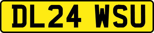 DL24WSU